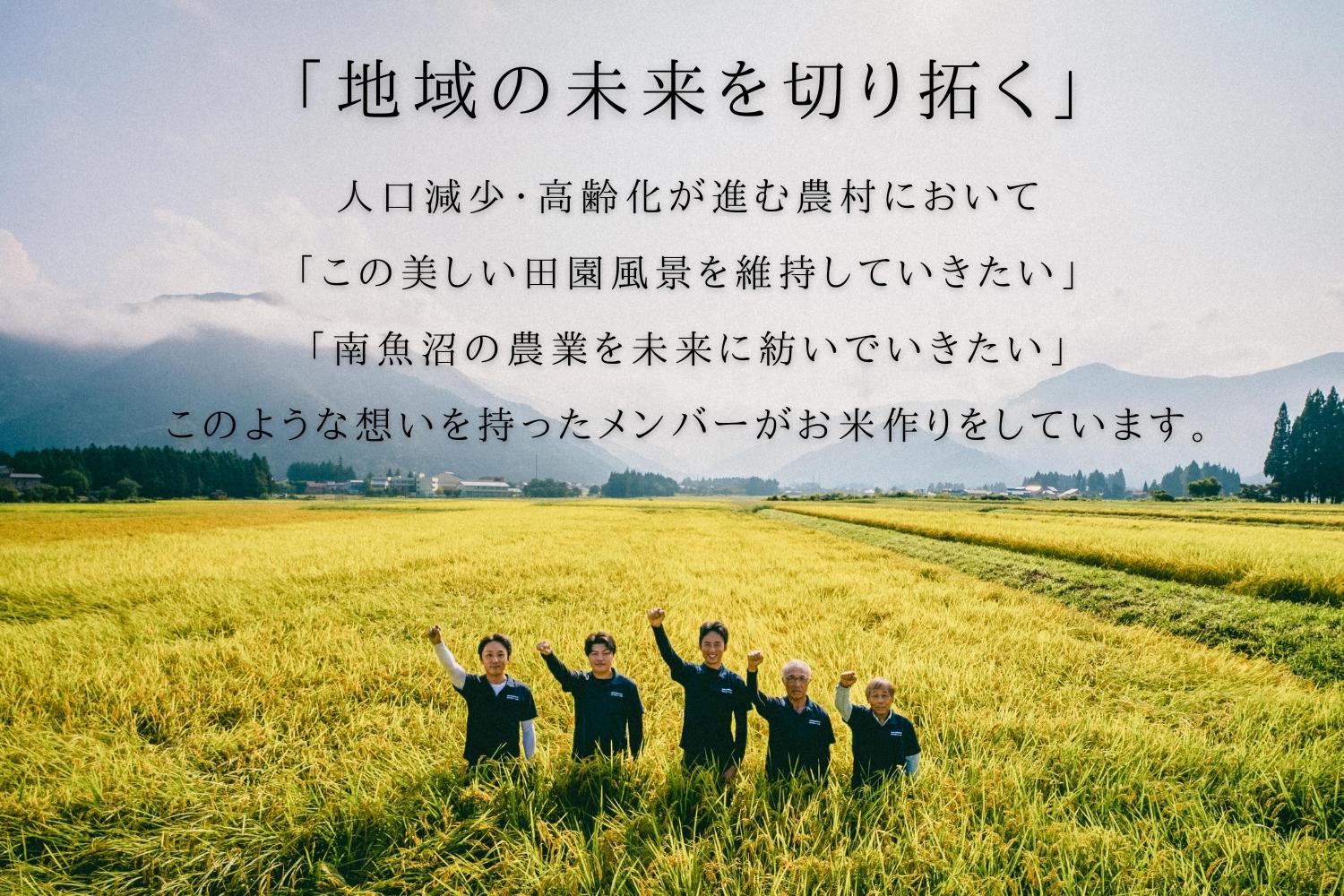 【R7年産】金賞 南魚沼産新之助 白米5kg×2 きらめく大粒！ ひらくの里ファーム