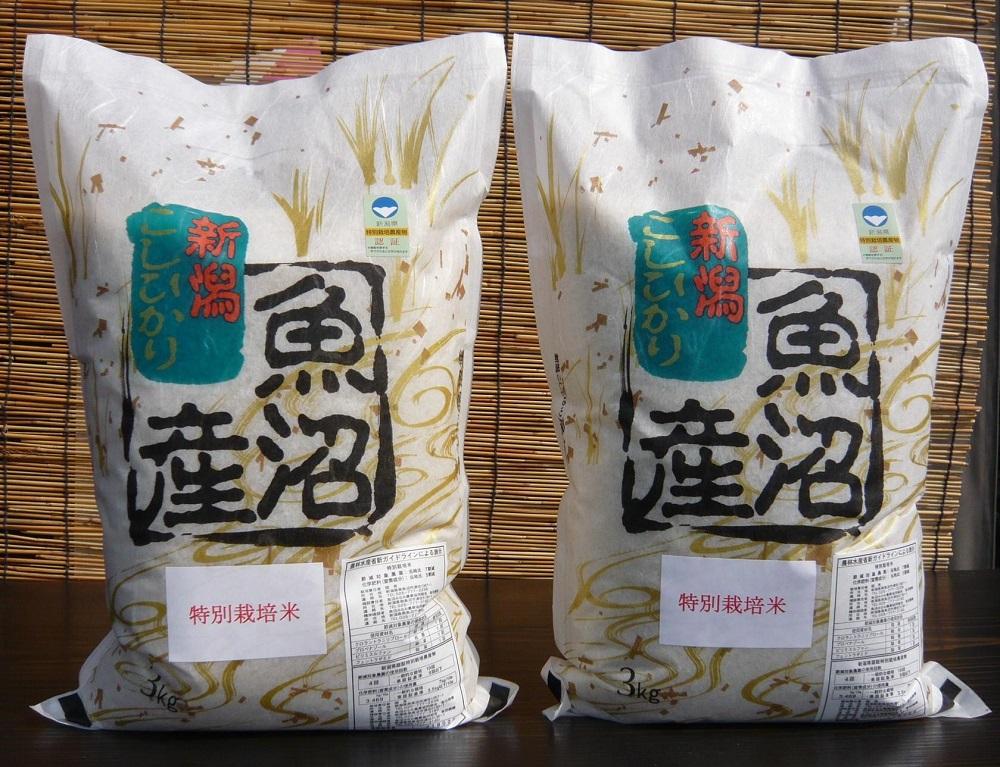 【令和７年産】特別栽培米　がんこおやじが作った南魚沼産コシヒカリ 白米６kg（３kg×２袋）