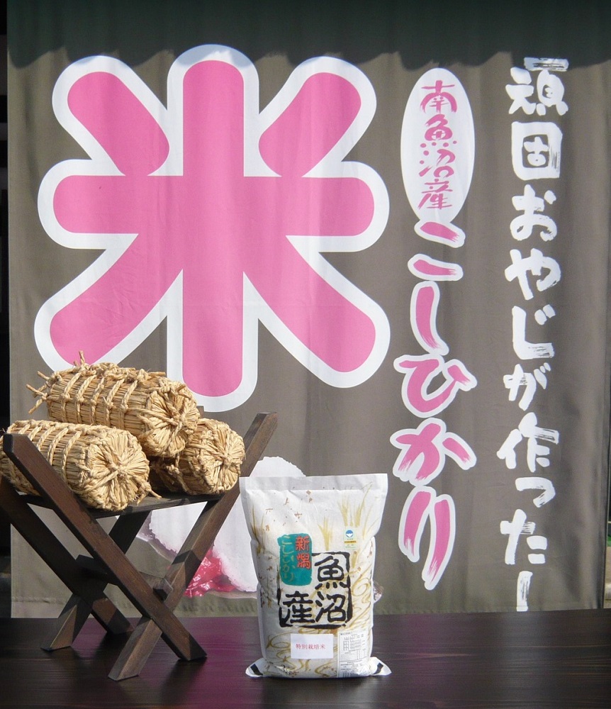 【令和７年産】6か月定期便　がんこおやじが作った南魚沼産コシヒカリ白米３kg