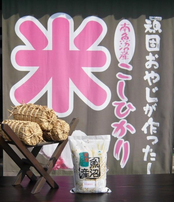 【令和７年産】12か月定期便　がんこおやじが作った南魚沼産コシヒカリ白米３kg