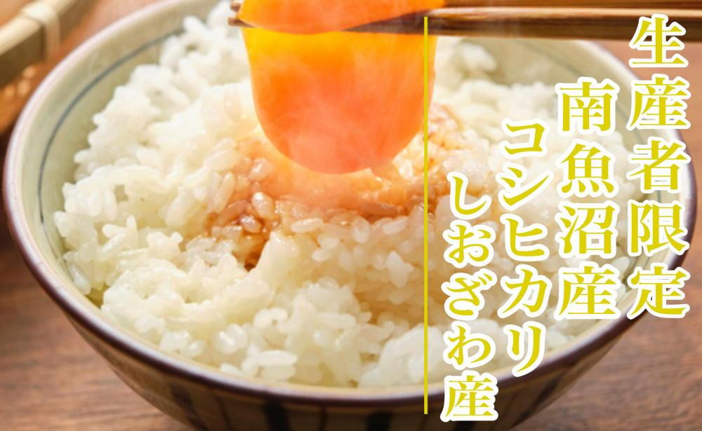 【新米予約・令和7年産】定期便12ヶ月：精米2kg生産者限定 南魚沼しおざわ産コシヒカリ【2025年10月上旬より順次発送予定】