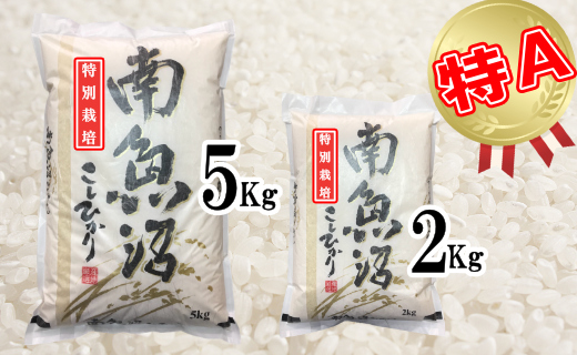 【令和7年産】【定期便：15Kg×3ヶ月】特別栽培 生産者限定  南魚沼しおざわ産コシヒカリ【2025年10月上旬より順次発送予定】