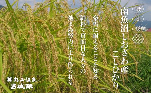 生産者限定  南魚沼しおざわ産コシヒカリ　玄米5kg