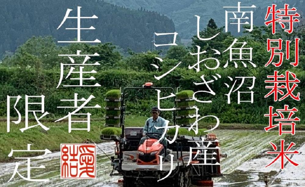 【令和7年産】【定期便5Kg×3ヶ月】【特別栽培米】 契約生産者限定  南魚沼しおざわ産コシヒカリ【2025年10月上旬より順次発送予定】