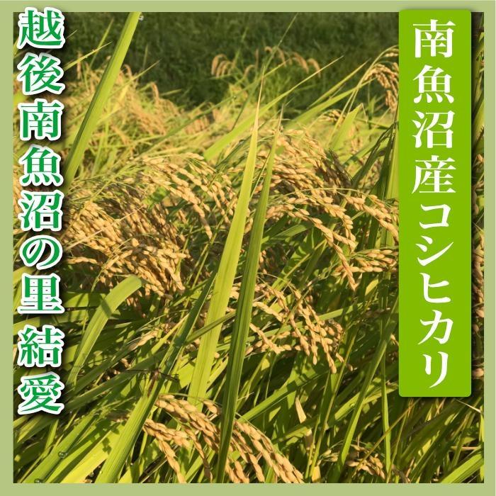 【令和7年産】【精米５Kg】越後南魚沼の里 結愛 南魚沼産コシヒカリ