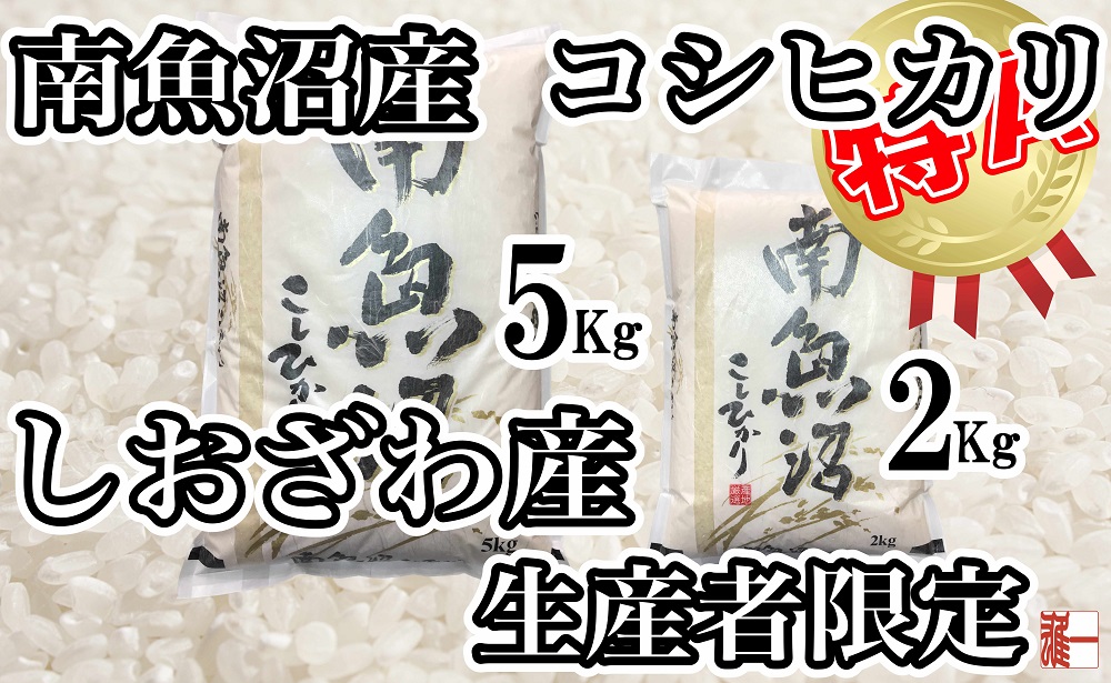 【令和7年産】【定期便：２Kg×6ヶ月】生産者限定 契約栽培 南魚沼しおざわ産コシヒカリ【2025年10月上旬より順次発送予定】