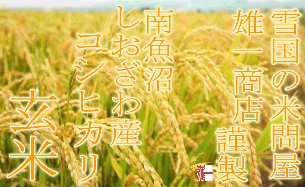 【令和7年産】●玄米● 【定期便6Kg×6ヶ月】 生産者限定 南魚沼しおざわ産コシヒカリ【2025年10月上旬より順次発送予定】