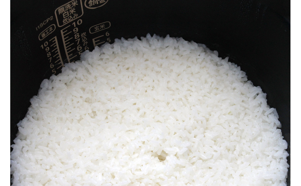 玄米全粒粉が奏でるひとさじの魔法 100g×10