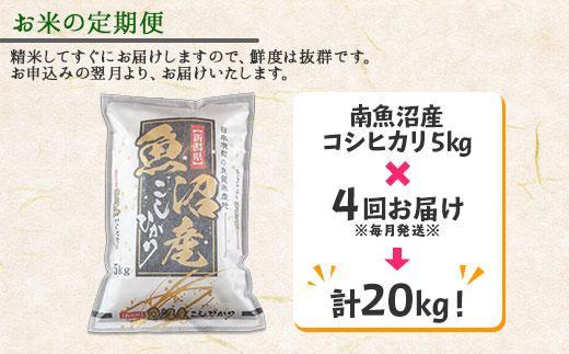 【令和7年産】【定期便】新潟県 南魚沼産 コシヒカリ お米 5kg ×計4回 精米済み 毎月発送（お米の美味しい炊き方ガイド付き）【2025年10月中旬より順次発送予定】