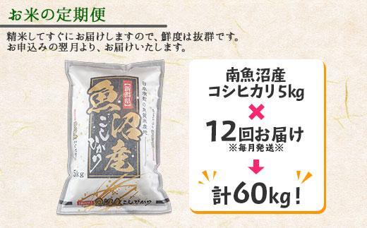 【令和7年産】【定期便】新潟県 南魚沼産 コシヒカリ お米 5kg×計12回 精米済み 年間 毎月発送 （お米の美味しい炊き方ガイド付き）【2025年10月中旬より順次発送予定】
