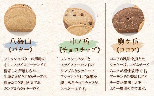 無地熨斗 越後三山 山のクッキー 各4枚 計12個 クッキー チョコチップ ココア 和菓子 洋菓子 お菓子 菓子 焼き菓子 セット 菓子詰合せ 詰め合わせ スイーツ ギフト おかしとおやき ことう 新潟県 南魚沼市