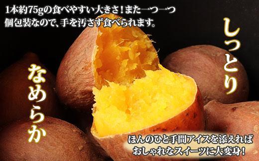 【無地熨斗】 冷やし焼き芋 75g 2袋 計10個 安納芋 密芋 焼き芋 芋 冷凍焼き芋 あんのう芋 さつまいも いも サツマイモ イモ 冷凍 スイートポテト スイーツ デザート おやつ 越季 新潟県 南魚沼市