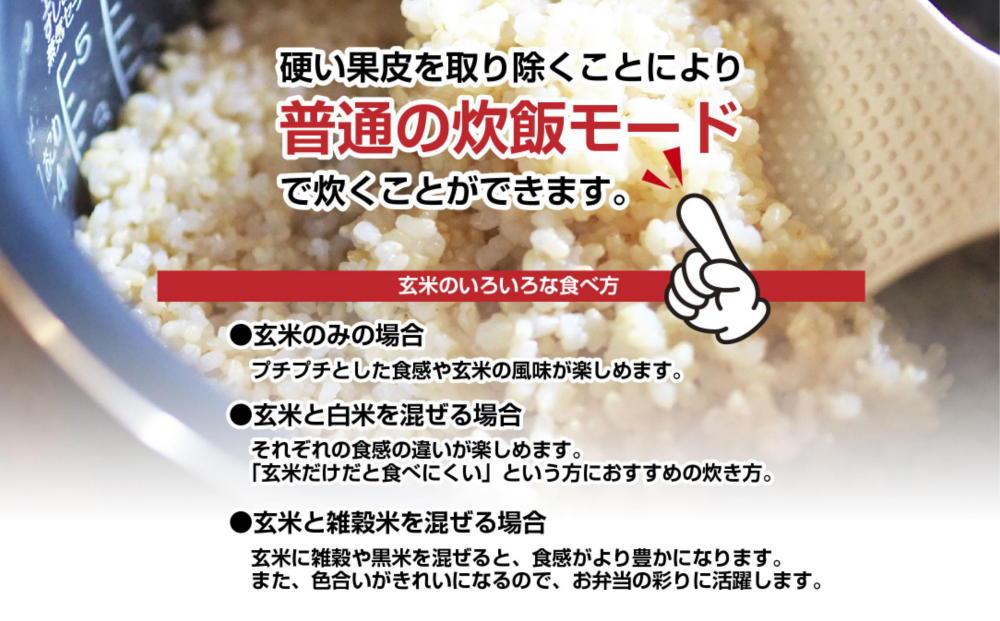 南魚沼産 コシヒカリ 普通に炊ける 玄米 2kg×2袋 計4kg こしひかり 新潟県 米 玄米食 コメ こめ