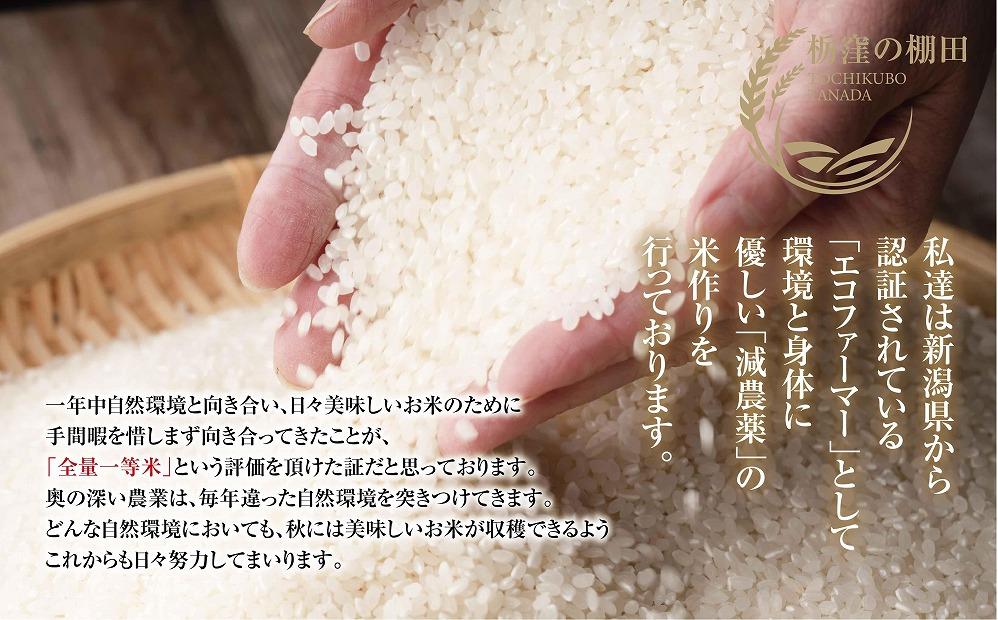 【栃窪の棚田米限定】南魚沼 しおざわ 栃窪産 コシヒカリ 10kg 日熊の米 農家のこだわり 棚田 こしひかり 農家直送 減農薬 新潟県認証 エコファーマー ベストファーマー 新潟県 南魚沼市  特A お米 こめ 白米 コメ 食品 人気 おすすめ 送料無料