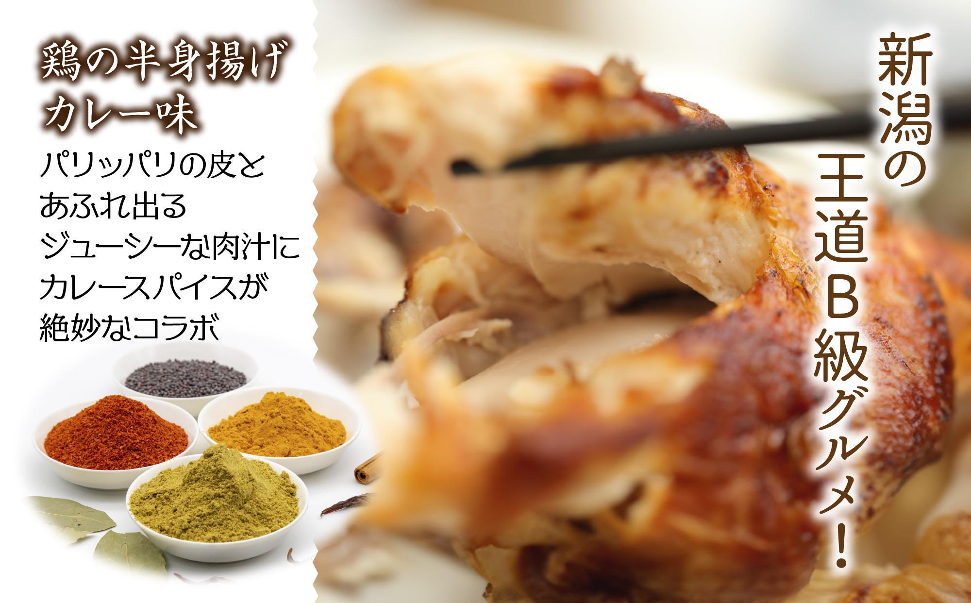 糀 米粉 から揚げ しょうが 醤油 唐揚げ 半身あげ カレー 各1個 からあげ 半身揚げ おかず おつまみ 簡単調理 冷凍 取り寄せ ギフト グルメ 魚野の里 ナトゥーラ コメトハナ 新潟県 南魚沼市