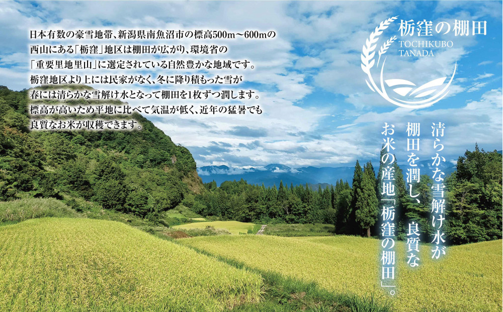 【令和7年産】【栃窪の棚田米限定】南魚沼 しおざわ 栃窪産 コシヒカリ 10kg ｜玄米｜ 日熊の米 農家のこだわり 棚田 こしひかり 農家直送 減農薬 新潟県認証 エコファーマー ベストファーマー 新潟県 南魚沼市  特A お米 こめ  コメ 食品 人気 おすすめ 送料無料