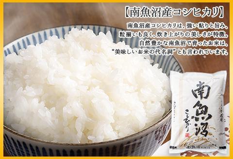 新潟県 南魚沼産 コシヒカリ こしひかり お米 2kg ×2個 計4kg 精米 魚沼 米 炊き方ガイド付き