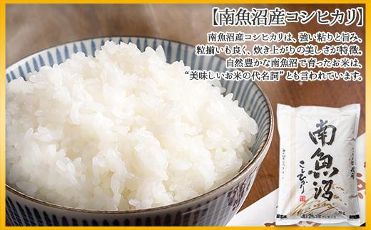 新潟県 南魚沼産 コシヒカリ こしひかり お米 2kg ×4個 計8kg 精米 魚沼 米 炊き方ガイド付き