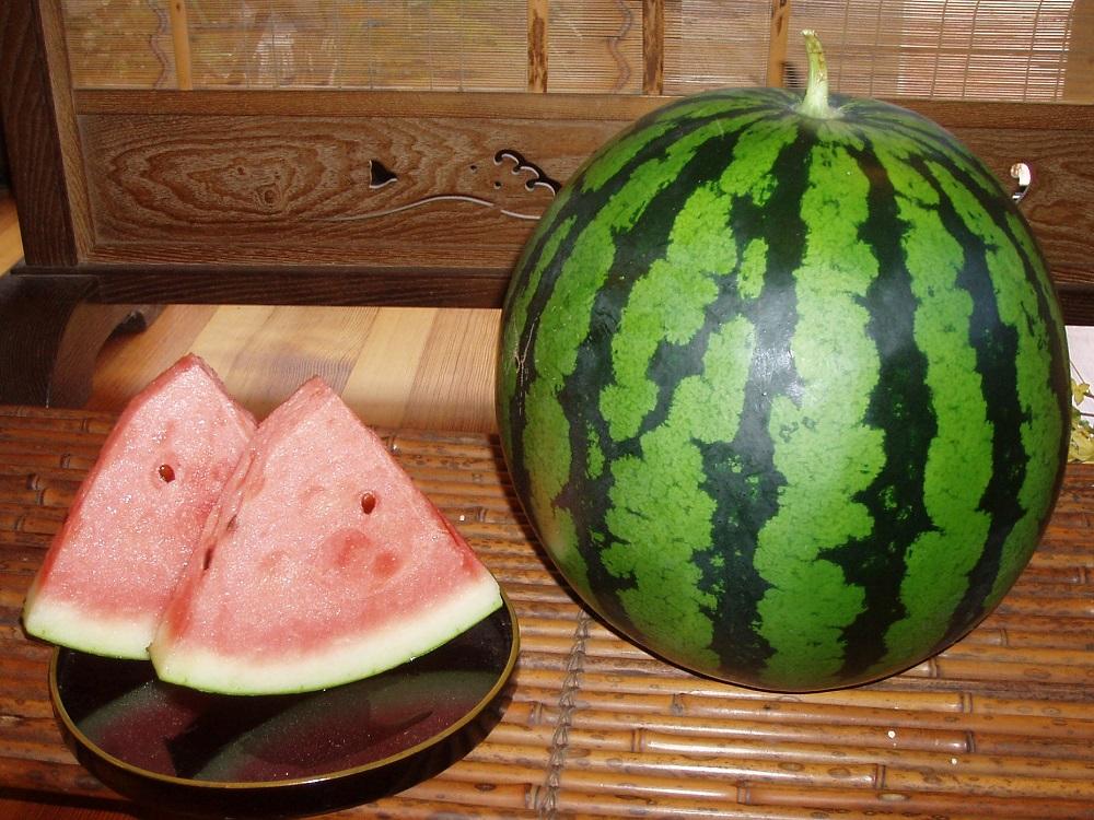 【先行予約】【新潟県 南魚沼産】八色原すいか大玉１玉【2026年7月下旬発送】【お届け日時指定不可】