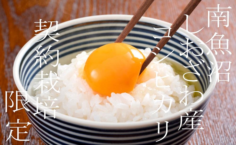 【令和7年産】【定期便】契約栽培限定 南魚沼しおざわ産コシヒカリ15Kg×12ヶ月【2025年10月上旬より順次発送予定】