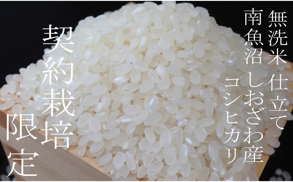 【令和7年産 無洗米5Kg】南魚沼しおざわ産コシヒカリ