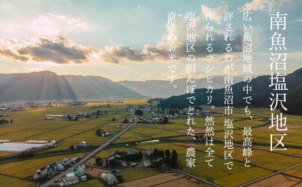 【令和7年産】【定期便】南魚沼塩沢産コシヒカリ「然然」　農薬5割減栽培　精米10kg（5kg x 2） x 全12回