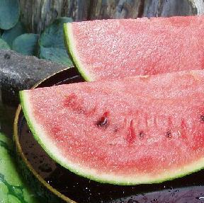 【先行予約】【新潟県 南魚沼産】八色原西瓜 小玉２玉【2026年7月中旬発送】【お届け日時指定不可】