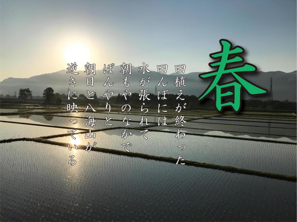 【令和7年産】【定期便 南魚沼産】コシヒカリ 白米10kg×6回【2025年9月中旬より順次発送予定】