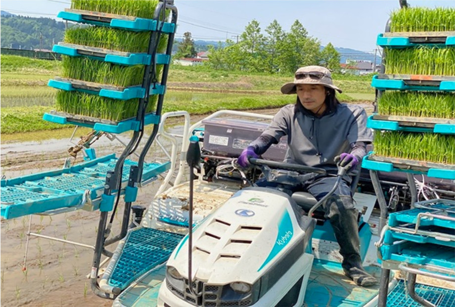 令和7年産　南魚沼塩沢産コシヒカリ　８割減特別栽培米　白米５kg