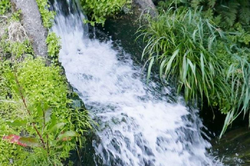 【Ｒ7年産】南魚沼産コシヒカリ精米3kg 山本家【従来品種】