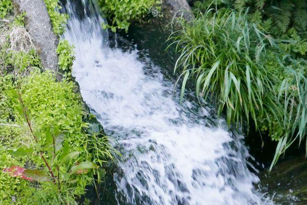 【Ｒ7年産】【定期便】南魚沼産コシヒカリ精米5kg×12回 山本家【従来品種】