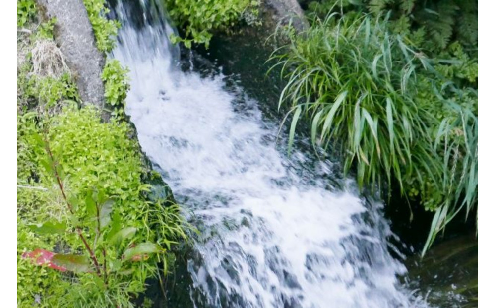 【R7年産】【定期便】南魚沼産コシヒカリ精米2kg×12回 山本家【従来品種】