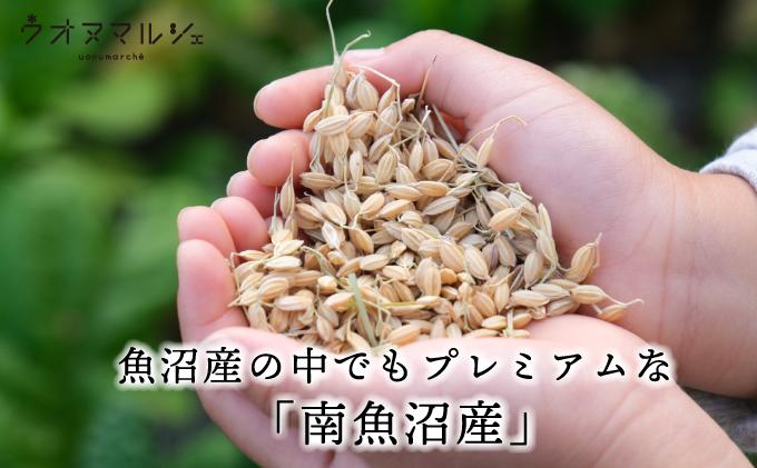 【令和７年産】おかずのいらない 魚沼産コシヒカリ 無洗米５ｋｇ 令和７年産
