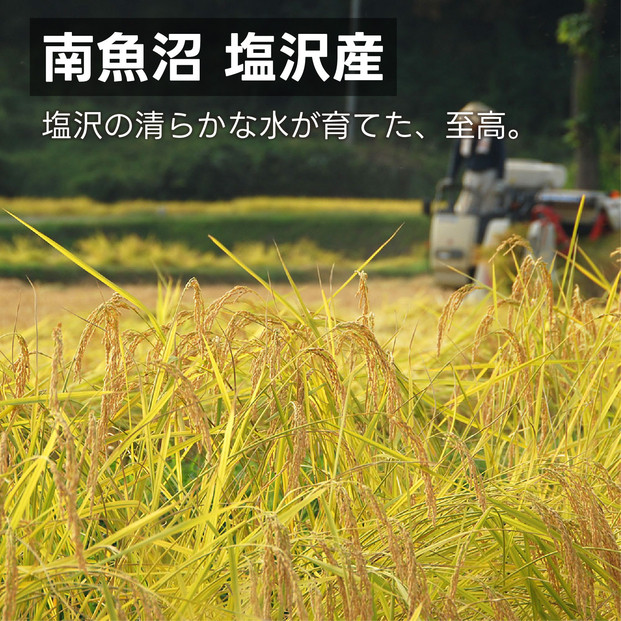 南魚沼 塩沢産 コシヒカリ パックご飯 150g 24パック
