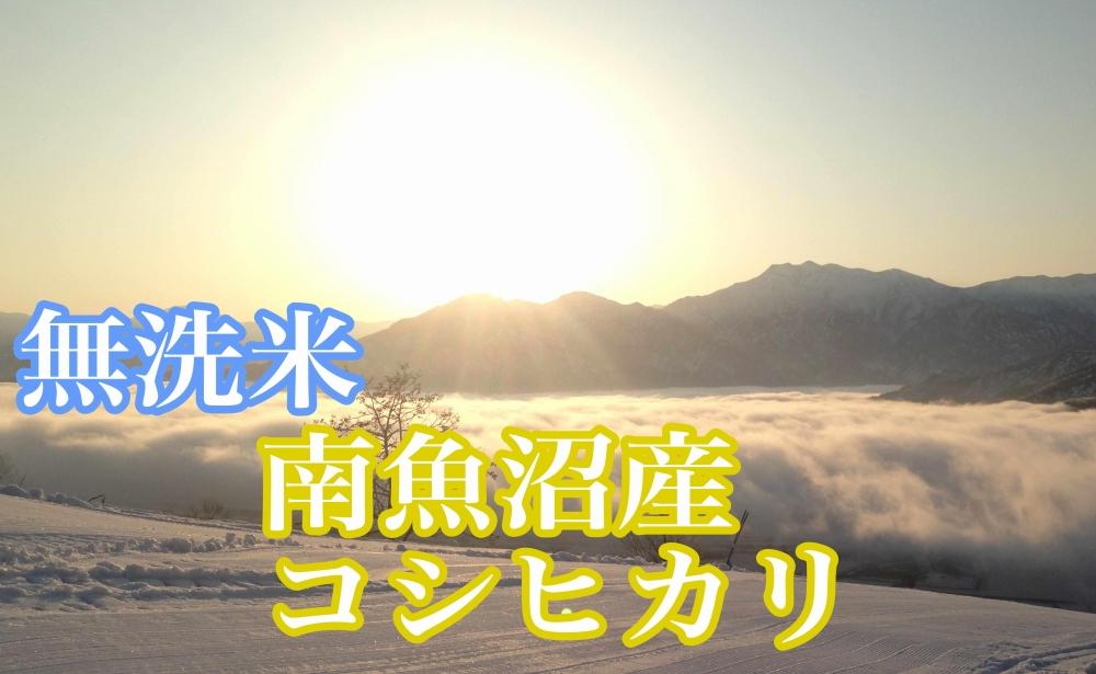【令和7年産】●吟精 無洗米●南魚沼産コシヒカリ2kg【2025年10月上旬より順次発送予定】