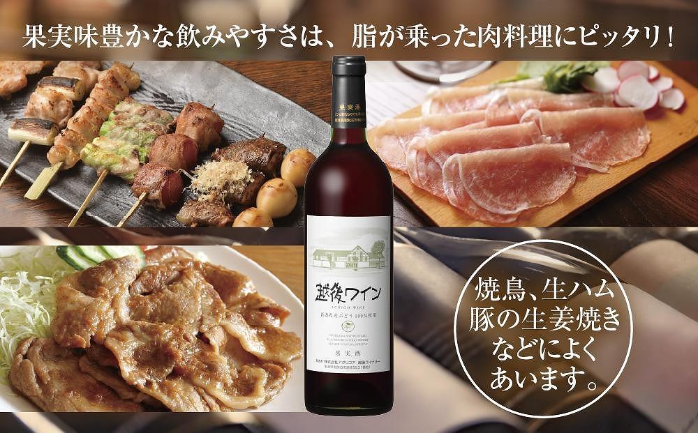 越後ワイン 赤 750ml 2本セット アグリコア  越後ワイナリー  新潟県産 ぶどう100%使用  辛口 ミディアムボディ アルコール12% 国産ワイン 魚沼ワイン 送料無料 新潟県 南魚沼市