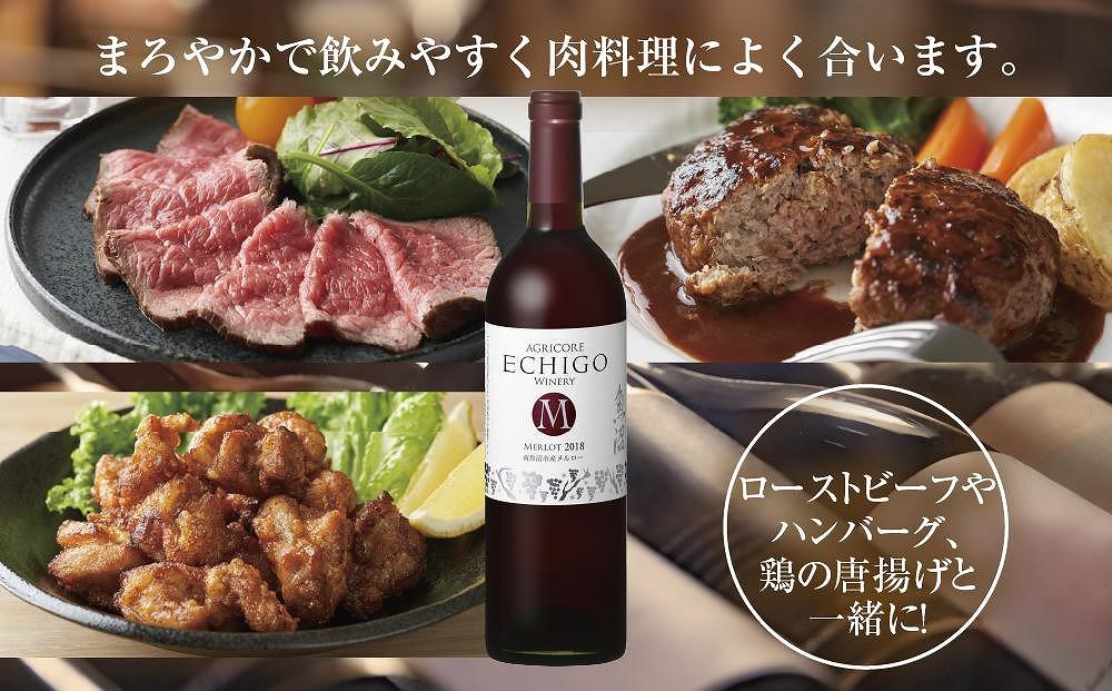 越後ワイン メルロー 赤 750ml 2本セット アグリコア  越後ワイナリー  南魚沼市産メルロー使用 辛口 ミディアムボディ 度数12% 国産ワイン 魚沼ワイン わいん 送料無料 新潟県 南魚沼市