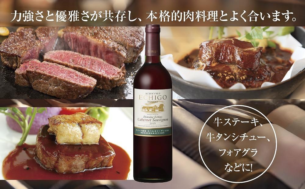 ドメーヌ・越後カベルネ  赤 750ml 2本セット アグリコア  越後ワイナリー  南魚沼市産カベルネソーヴィニヨン 辛口 ミディアムボディ 度数12% 国産 魚沼ワイン 送料無料 新潟県 南魚沼市