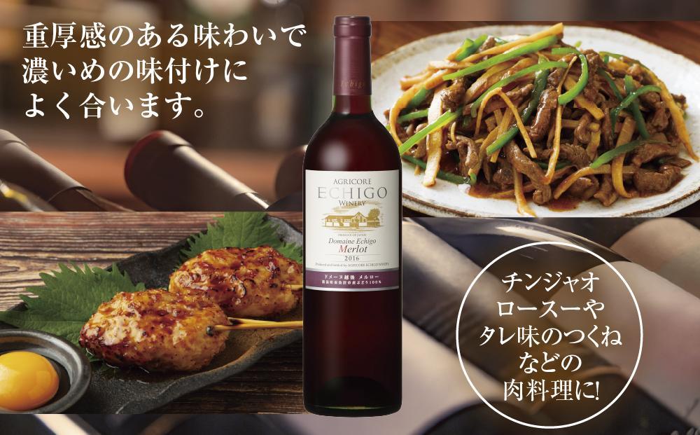 無地熨斗 ドメーヌ・越後メルロー  赤 750ml 2本セット アグリコア  越後ワイナリー  南魚沼市産メルロー 辛口 ミディアムボディ アルコール度数12% 魚沼ワイン 国産 送料無料 新潟県 南魚沼市