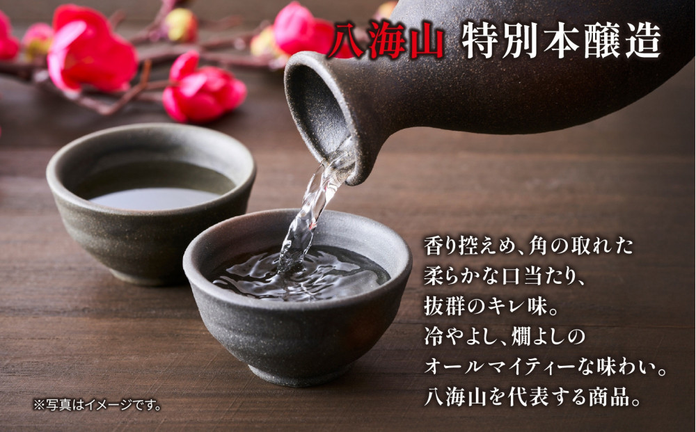 1本は店主のお任せ 南魚沼産酒ガチャ2本セット 竹コース 八海山特別本醸造 お楽しみ 2本 720ml 鶴齢 日本酒 酒 お酒 おさけ さけ おまかせ お任せ 贈答品 プレゼント お祝い 送料無料 新潟県 南魚沼市 金田屋酒店