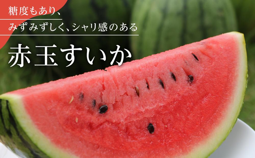 【夏季限定】飯塚農場産の八色原すいか　大玉2玉（赤1玉・黄1玉）セット【2026年7月下旬より順次発送予定】