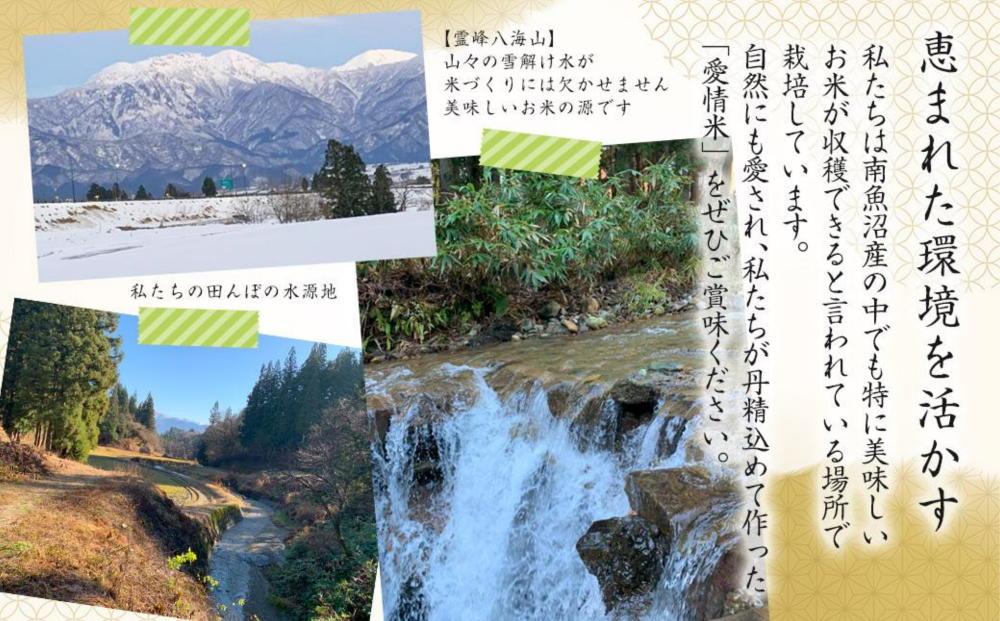 【生産者直送】【令和７年産 新米】 南魚沼産こしひかり 5kg(5kg×1) 無洗米 オグライスファーム＜コシヒカリ 農家直送＞【2025年11月上旬頃より順次発送予定】