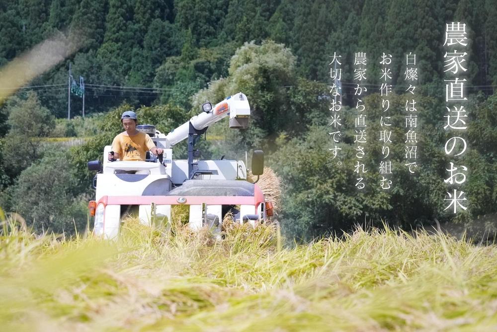 【令和7年産】南魚沼君沢産こしひかり　白燦々 10kg（従来品種）