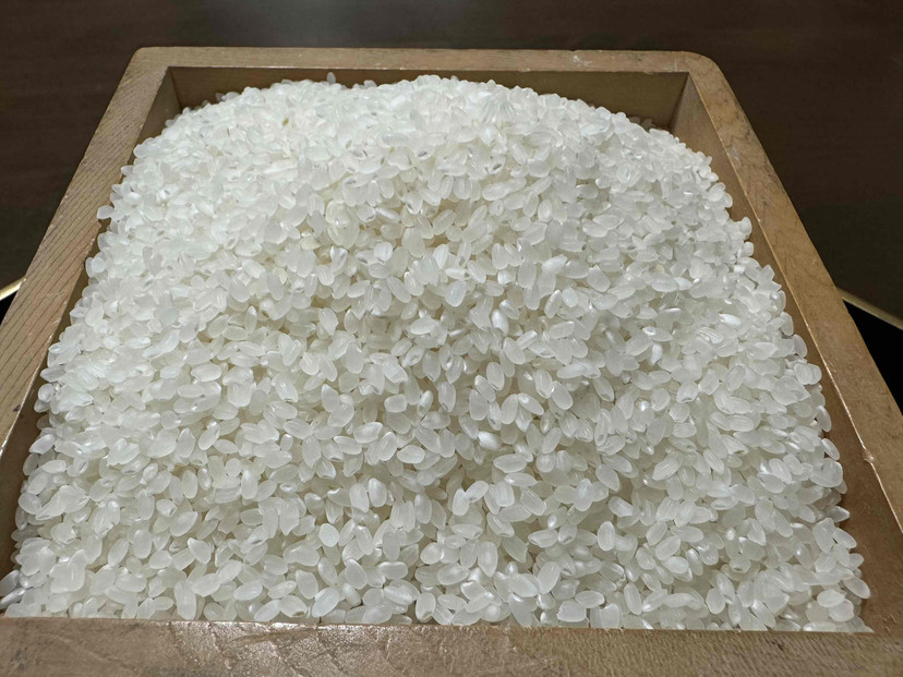 【令和7年産】南魚沼産コシヒカリ 白米10kg