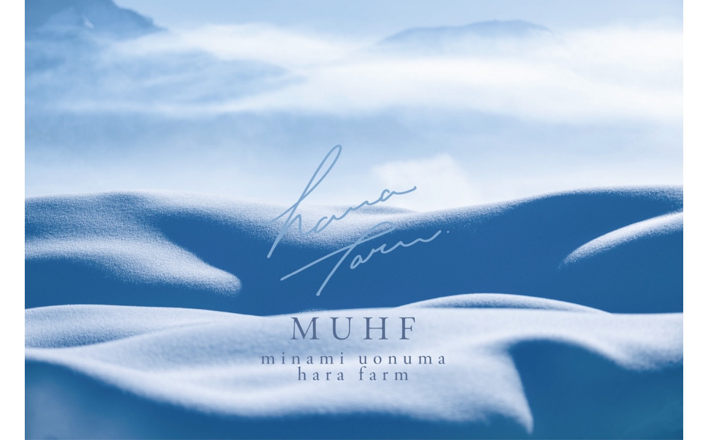 【令和7年産】南魚沼塩沢産コシヒカリ＜yusui＞10kg白米