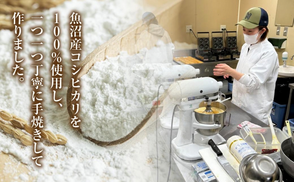 グルテンフリー 米粉 玄米粉 ドーナツ 5種 20個セット ショコラ メープルアーモンド チーズ 桑茶あずき 黒ごま ドーナッツ スイーツ おやつ 冷凍 ギフト コパフーズ 送料無料 新潟県 南魚沼市