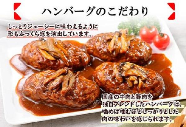 ES49 無地熨斗 こだわり 手作り 自家製 煮込み ハンバーグ 170g×6個 ＆ ひじき豆腐ハンバーグ160g×6個 食べ比べ 新潟県 南魚沼市 計12個 約12人前