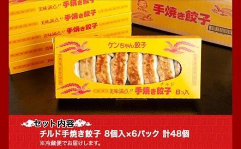新潟県 南魚沼市 チルド手焼き餃子 8個入り × 6パック 計48個 ケンちゃん餃子 冷蔵 中華 点心 惣菜 ビール お取り寄せ グルメ