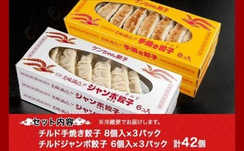 新潟県 南魚沼市 チルド手焼き餃子・ジャンボ餃子 食べ比べ セット 各3パック 計42個 ケンちゃん餃子 冷蔵 中華 点心 惣菜 ビール お取り寄せ グルメ