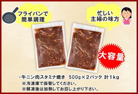 新潟県 南魚沼市 牛ニン肉スタミナ焼き 500g × 2パック 計1kg 野崎フーズ 冷凍 惣菜 簡単 調理 牛肉 にんにく おかず 味付き